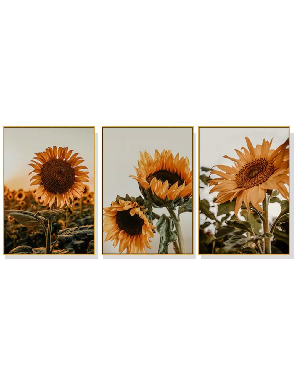 Wall Art 60cmx90cm Sunflower 3 Sets Gold Frame Canvas | Autograph