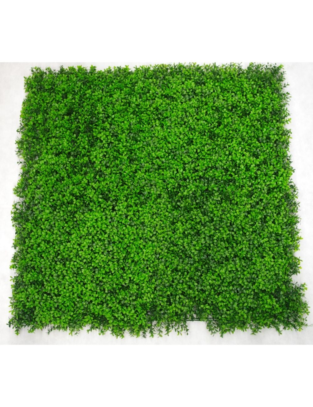 Deluxe Buxus Panels UV Stabilised 1m X 1m | Crossroads