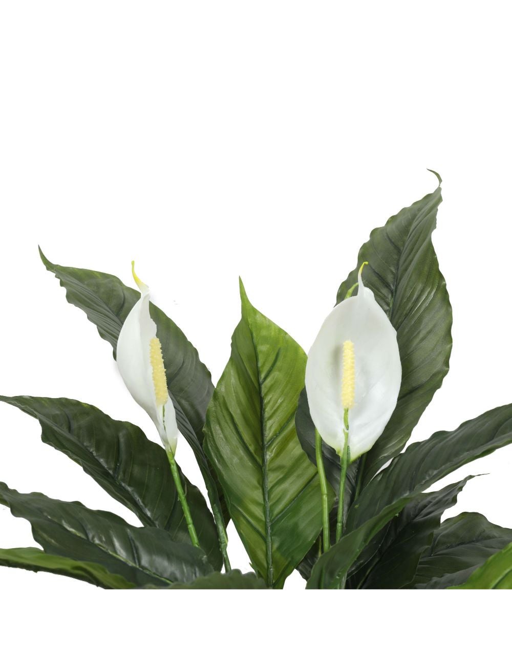 Artificial Spathiphyllum Peace Lily Plant with White Flowers 60cm ...