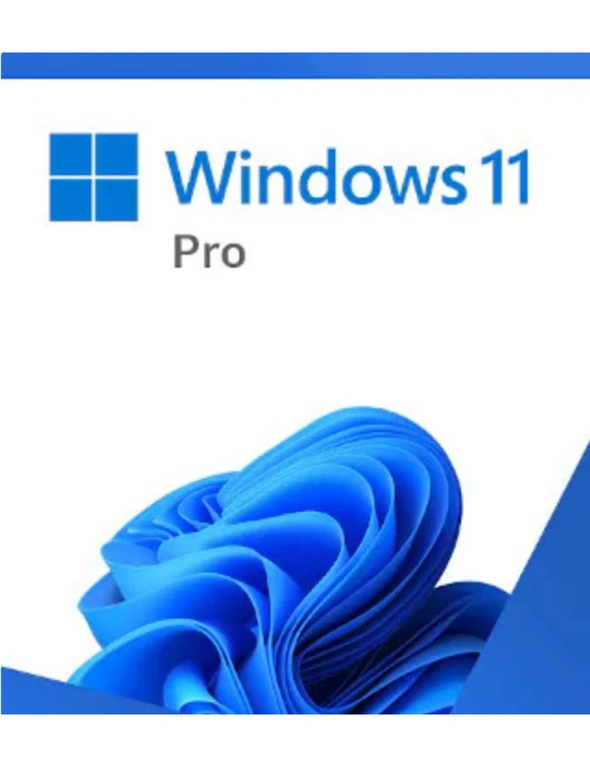 Windows 11 Professional – Pen Drive