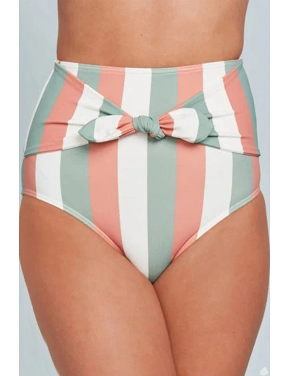 Multicolor Stripes Print Front Tie High Waist Bikini Bottoms, hi-res image number null