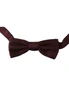 Dolce & Gabbana Purple Dotted Silk Adjustable Neck Papillon Bow Tie, hi-res
