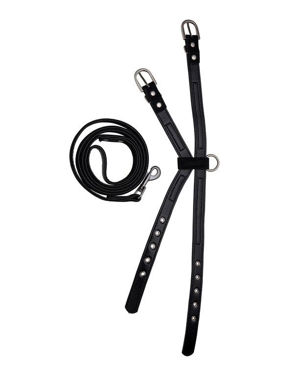 Pooches n' Paws Dog Harness & Leash Diamante, hi-res image number null