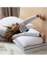 Casa Decor Silk Blend Gusset Pillow - Twin Pack, hi-res