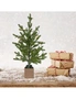 Santa's Helper Warm Light Christmas Tree Merry Celebrations 60CM, hi-res