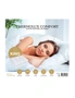 Royal Comfort Thermolux Comfort Electric Blanket, hi-res
