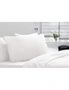 Royal Comfort Signature Hotel Pillow, hi-res