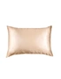 Royal Comfort 100% Dual-Sided Pure Silk Pillowcase - Single Pack, hi-res