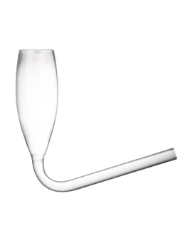 Novelty Champagne Glass Twin Pack
