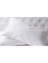 Duck Feather & Down Quilt 500GSM + Duck Feather and Down Pillows 2 Pack Combo, hi-res