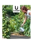 Livsip Galvanised Raised Garden Bed Steel Vegetable Planter 240X80X42CM, hi-res