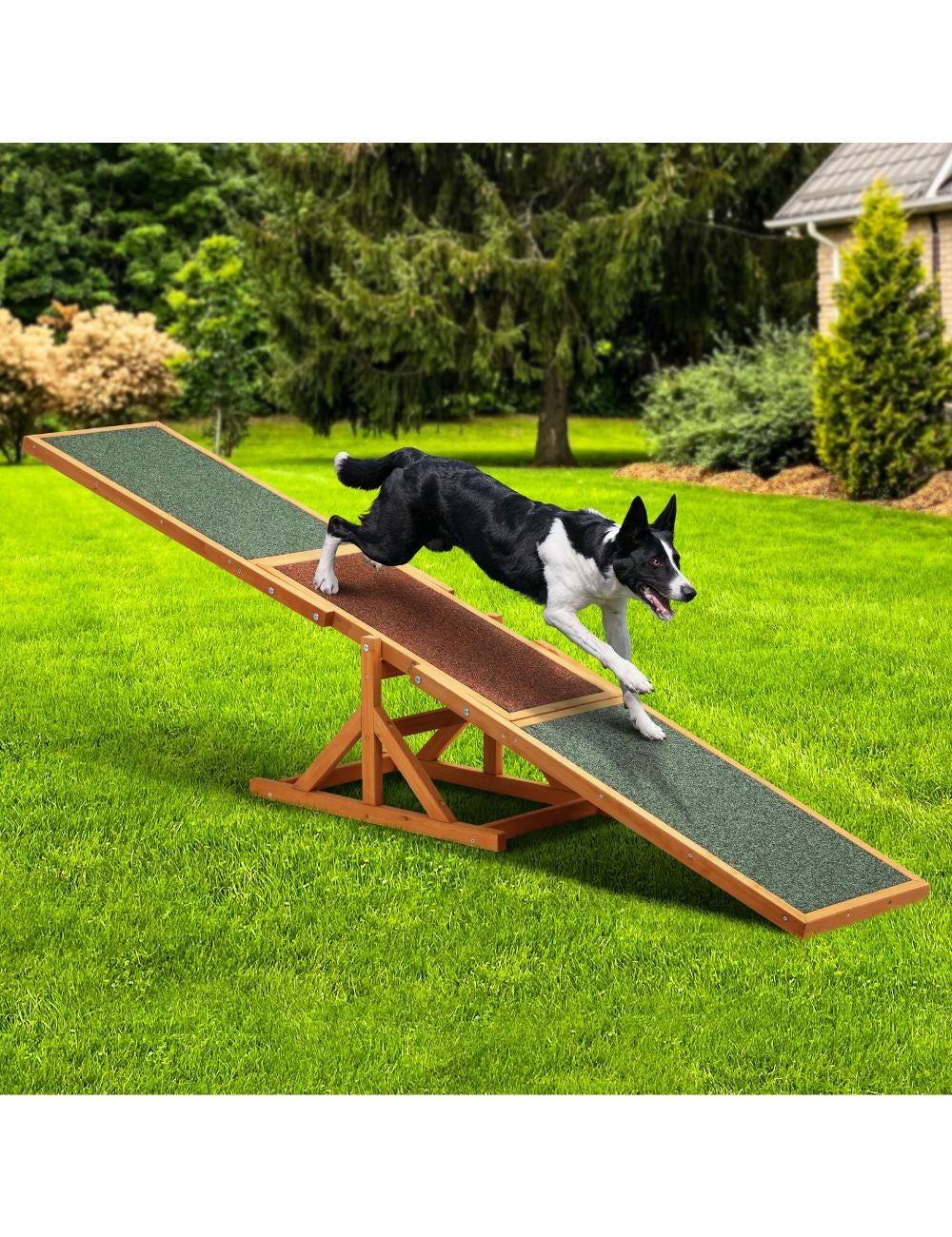 Sports　Alopet　Pet　Obedience　Dog　Play　Training　Puppy　Seesaw　Rockmans　Agility　Outdoor