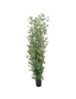 Designer Plants UV Stabilised Artificial Japanese Bamboo on a Green Trunk, hi-res