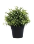 Designer Plants Small Potted Artificial Rosemary Herb Plant UV Resistant, hi-res