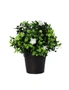 Designer Plants Small Potted Artificial Flowering Boxwood Plant UV Resistant, hi-res