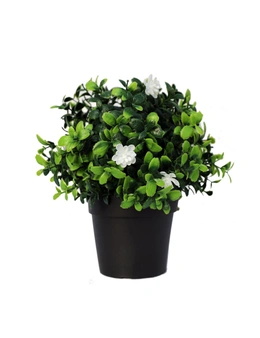 Designer Plants Small Potted Artificial Flowering Boxwood Plant UV Resistant