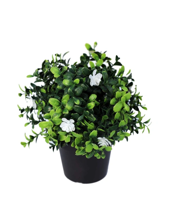 Designer Plants Small Potted Artificial Flowering Boxwood Plant UV Resistant, hi-res image number null