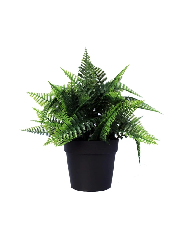 Designer Plants Small Potted Artificial Persa Boston Fern Plant UV Resistant, hi-res image number null