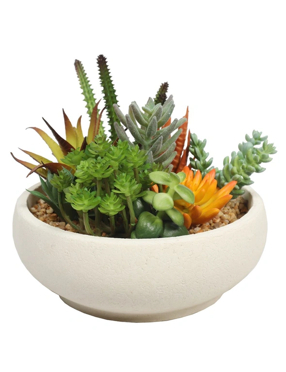 Designer Plants Potted Artificial Succulent Bowl with Natural Stone Pot, hi-res image number null