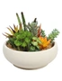 Designer Plants Potted Artificial Succulent Bowl with Natural Stone Pot, hi-res