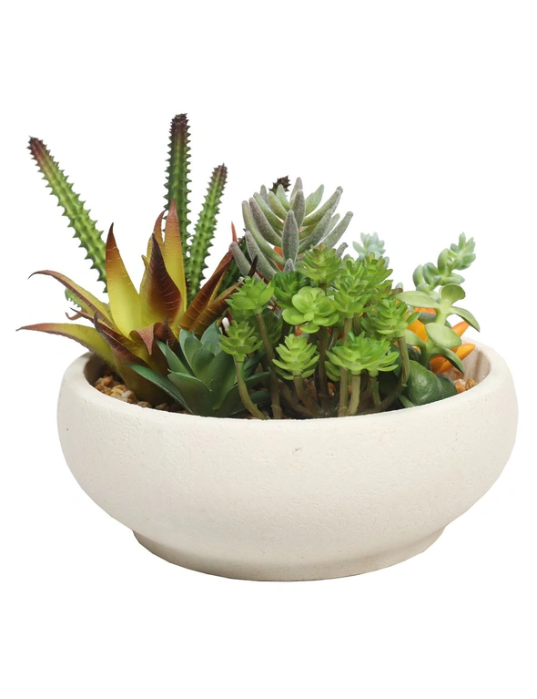 Designer Plants Potted Artificial Succulent Bowl with Natural Stone Pot, hi-res image number null
