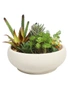 Designer Plants Potted Artificial Succulent Bowl with Natural Stone Pot, hi-res