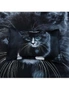 Fabric Fantastic Cat Quilt/Doona/Duvet Cover Set-Queen/King/Super King Size, hi-res