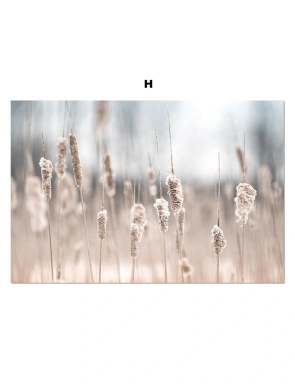 Whimsical Canvas Vintage Botanical Grass Wall Art Home Decor- 30x40cm- Style H, hi-res image number null