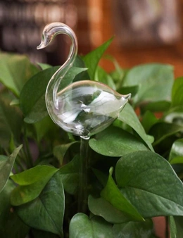 Self Watering Glass Bird Garden Decoration - Swan