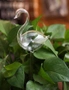 Self Watering Glass Bird Garden Decoration - Swan, hi-res