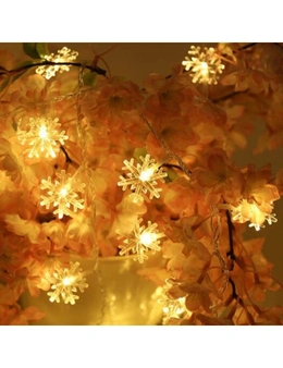 Led Snowflake Light String Christmas Decoration 3M 20 Lamp- White Usb Power