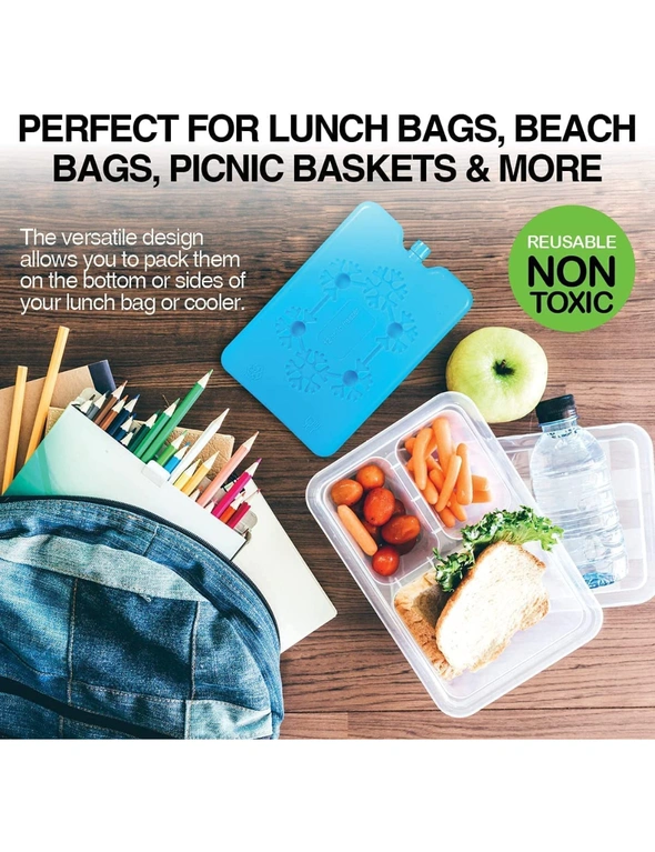 Home Master 4PCE Ice Bricks 16 x 11cm Reusable Non-Toxic Picnics Lunch Box, hi-res image number null