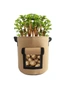 Potato Grow Bag - 1pack - Durable Flexible Reusable Breathable - Brown, hi-res