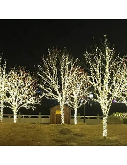 Solar-Powered LED Fairy Lights - 12 Metres - White