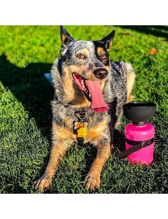 Pets Portable Dog Water Bottle Leak Proof Puppy Water Dispenser Drinking Feeder for Pets Outdoor Walking Hiking Travel – Keep Your Little Buddy Hydrated, hi-res image number null