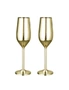 Stainless Steel Champagne Glasses - 2 Pack - Gold Plated, hi-res