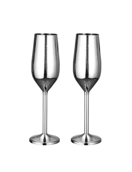 Stainless Steel Champagne Glasses - 2 Pack - Silver
