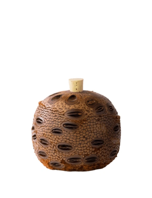 Banksia Seed Pod Natural Essential Oil Diffuser, hi-res image number null