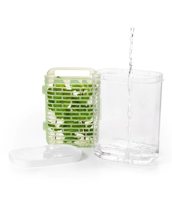 OXO Good Grips GreenSaver Herb Keeper, hi-res image number null