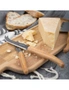 Andre Verdier Laguiole Debutant Cheese Knife Set 3 Piece, hi-res