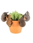 4x Aussie Animal Pot Planter Sitter Outdoor Ornament Patio Garden Decor Assort, hi-res