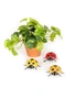 4x Hanging Ladybug w/ Hook Small Outdoor Ornament Yard/Patio Garden Decor Assort, hi-res