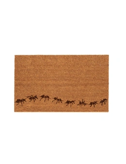 Door Mat 45x75cm Rectangle Floor Rug/Carpet PVC Backed Home Decor Large Ants