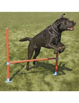 Rosewood Dog Agility Hurdle