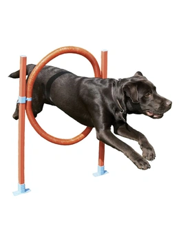 Rosewood Dog Agility Hoop Jump