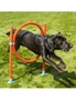 Rosewood Dog Agility Hoop Jump, hi-res