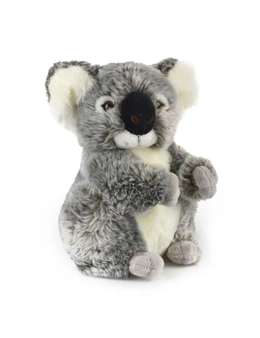 Korimco 28cm Kalypso Koala SizeLarge
