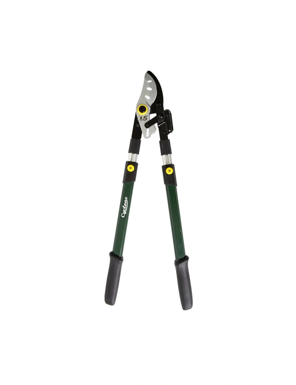 Cyclone Ratchet Telescopic Bypass Lopper Plant/Flowers Cutting/Gardening, hi-res image number null