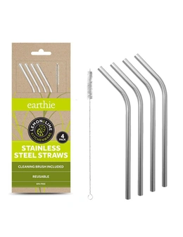 LemonLime Stainless Steel Straws 12PK