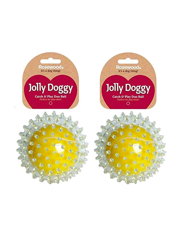 2PK Rosewood Pet Catch & Play Spike Tennis Ball, hi-res image number null